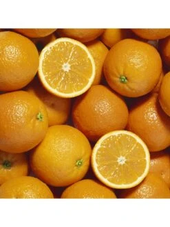 Large Orange Tree (6L Pot) -FurniHaven Shop MKXT3 SQ5 0000000088 NO COLOR SLd3