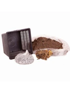 Water Lily Planting Kit - White -FurniHaven Shop Q4GQE SQ3 0000000088 NO COLOR SLd1