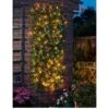 Smart Solar Solar In-lit Ivy Trellis - 90 X 180cm -FurniHaven Shop RCF3V SQ1 0000000099 N A SLf