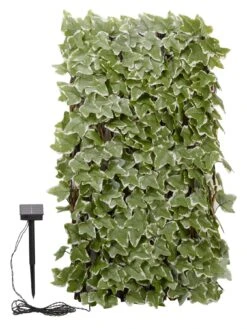 Smart Solar Solar In-lit Ivy Trellis - 90 X 180cm -FurniHaven Shop RCF3V SQ2 0000000099 N A SLd