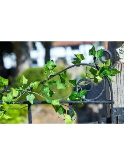 Smart Solar Ivy Firefly Solar String Lights -FurniHaven Shop RCF43 SQ3 0000000099 N A SLd1