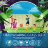 Multi Purpose & Hard-Wearing Grass Seed Mix Back Lawn 1kg 2 Multi Purpose & Hard-Wearing Grass Seed Mix Back Lawn 1kg -FurniHaven Shop RF3FR SQ1 0000000088 NO COLOR SLf
