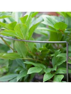 Ready To Rust Curved Steel Plant Supports 5 Pack -FurniHaven Shop RF3G3 SQ2 0000000088 NO COLOR SLd