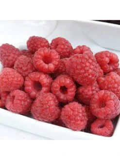 Raspberry Sweet Sunshine 2L -FurniHaven Shop RQC3X SQ3 0000000088 NO COLOR SLd1