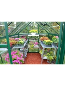 Canopia By Palram Harmony 6X8 Greenhouse - UV Protected Crystal Clear, Polycarbonate Panels -FurniHaven Shop U3GXH SQ3 0000000099 N A SLd1