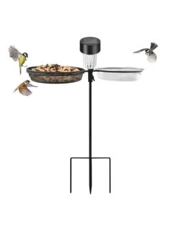 Streetwize Freestanding Bird Feeder With Solar LED -FurniHaven Shop UR96K SQ2 0000000099 N A SLd