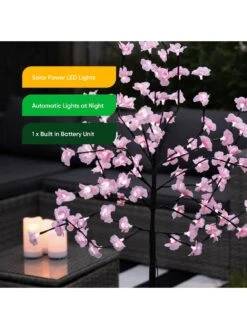 Streetwize Pink Cherry Blossom Tree -FurniHaven Shop V48RP SQ6 0000000099 N A SLd4