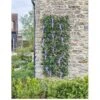 Smart Garden Wisteria Expanding Trellis 180 X 90cm -FurniHaven Shop VGMC0 SQ1 0000000099 N A SLf