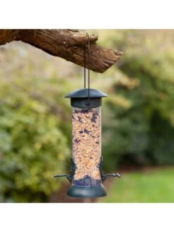 Honeyfield's Wild Bird Seed Feeder Pack 9 Honeyfield's Wild Bird Seed Feeder Pack -FurniHaven Shop VJI8T SQ3 0000000099 N A SLd1