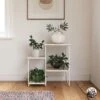 Queer Eye Dante Plant Stand -FurniHaven Shop VKEFR SQ1 0000000003 NATURAL RSr